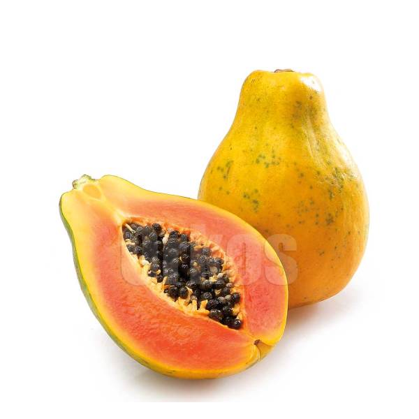 Carica papaya – Papaya Tree - Image 9