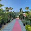 How To Choose the Right Soil & Fertilizer for Dubai Gardens